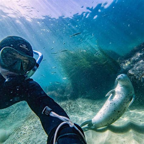 Уникальное строение дорог под водой