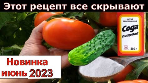 Уникальный ингредиент: сода