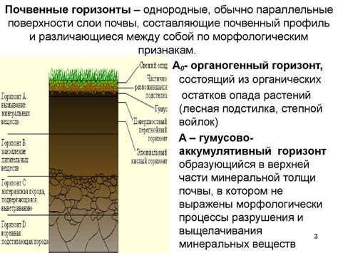 Уникальный почвенный состав и климат