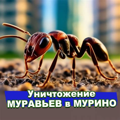 Уничтожение муравьев