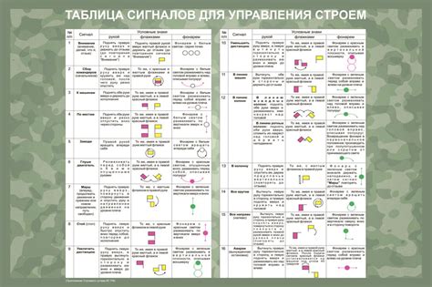 Управление танцующей рыбкой: тренировка, команды и сигналы