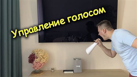 Управление телевизором голосом