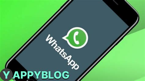 Управление хранением медиафайлов WhatsApp на iPhone