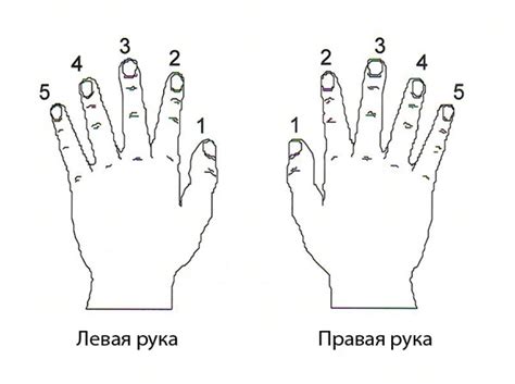 Упражнения для развития пальцев при игре аккорда G