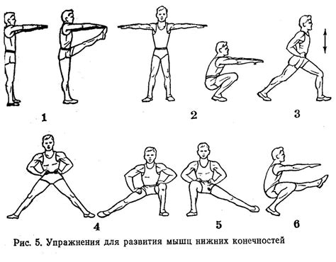 Упражнения для развития силы и гибкости с использованием колеса