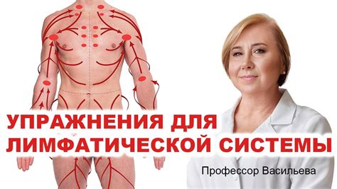 Упражнения для стимуляции лимфатической системы