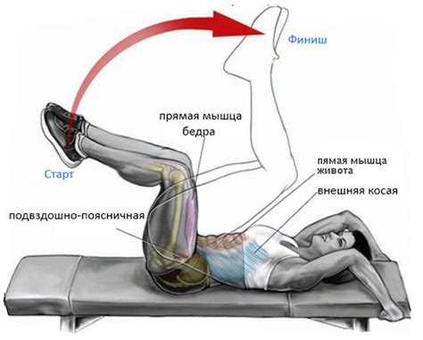 Упражнения на обратные скручивания