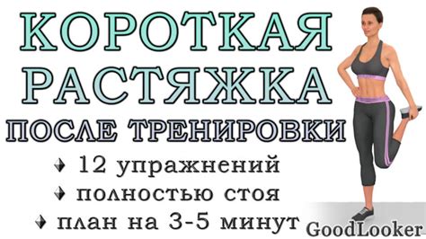 Упражнения на растяжку после тренировки