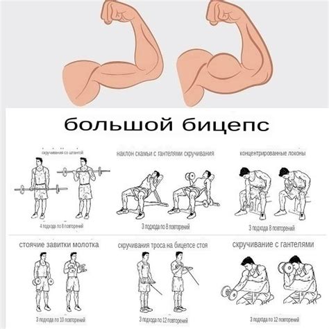 Упражнения с гантелями для развития верхней части тела