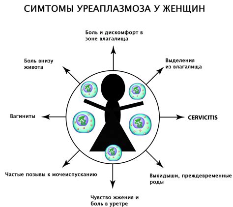 Уреаплазма: понимание и лечение проблемы