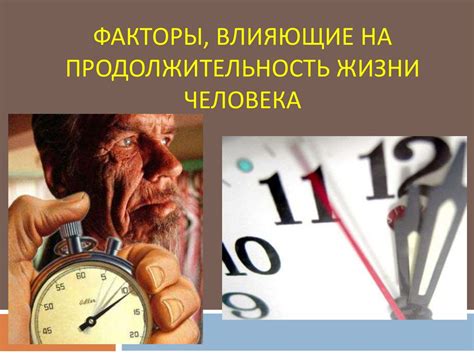 Уровень гормонов влияет на продолжительность жизни