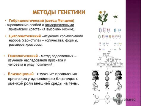 Уровень наследования