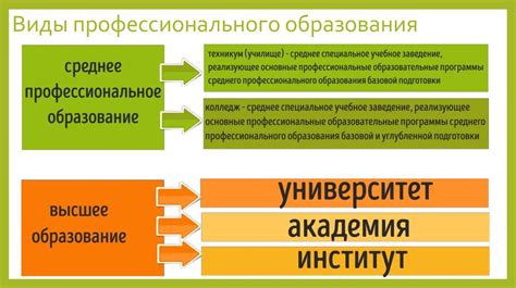 Уровни обучения и программы