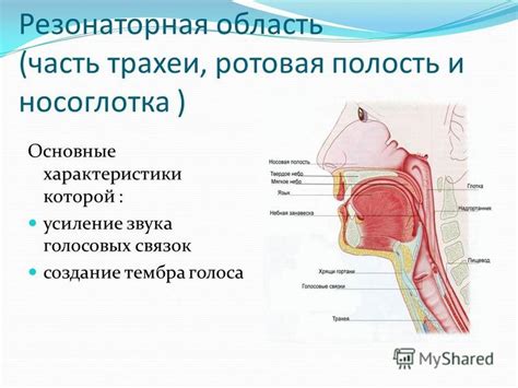 Усиление голоса: основные инструменты и приемы