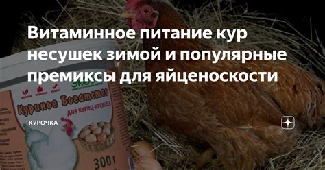 Усиленное витаминное питание