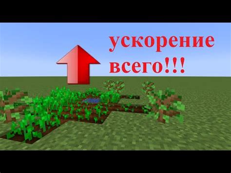 Ускоряем время в Minecraft 1.19: