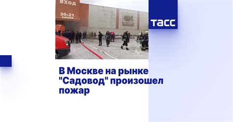 Условия оплаты и доставки на рынке садовод на майские праздники