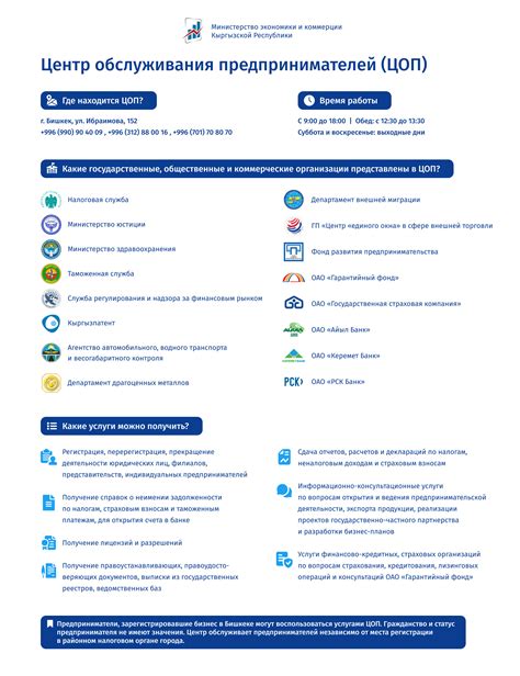 Услуги центра Заря: полезная информация