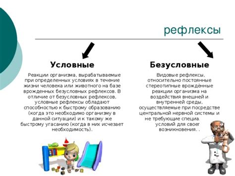 Усовершенствование рефлексов и реакции