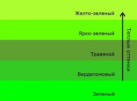 Успокаивающее воздействие зеленого цвета