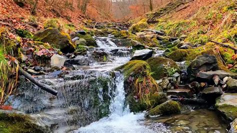 Успокаивающий звук воды