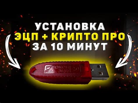 Установка КриптоПро в ФТС: пошаговая инструкция