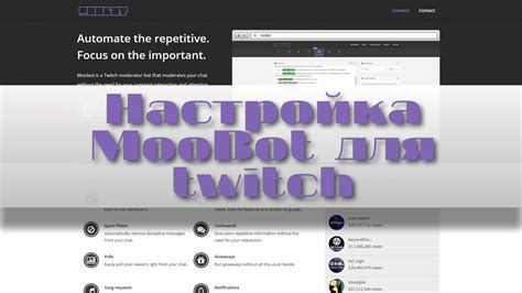 Установка и настройка ночного бота на Twitch: