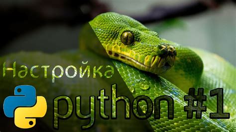 Установка и настройка Python для работы с YouTube