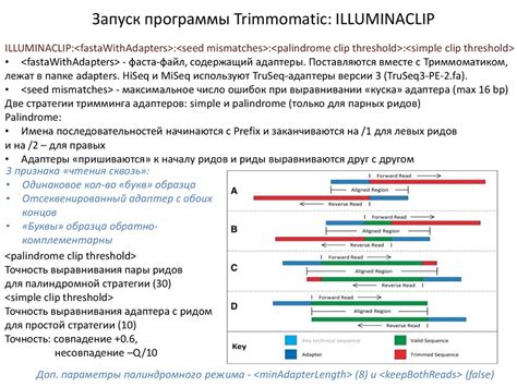 Установка и предварительная обработка