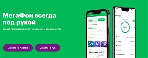 Установка личного кабинета МегаФон на телефон