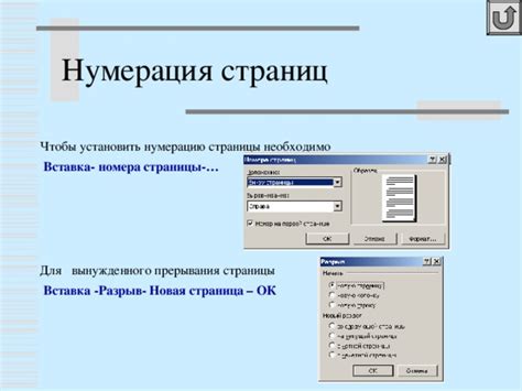 Установка нижнего колонтитула в Word