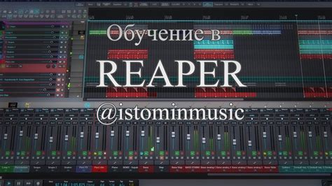 Установка программы Reaper