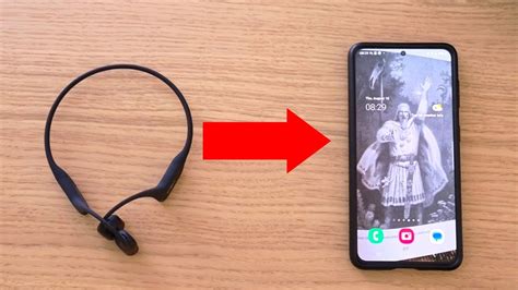 Установка Shokz на iPhone