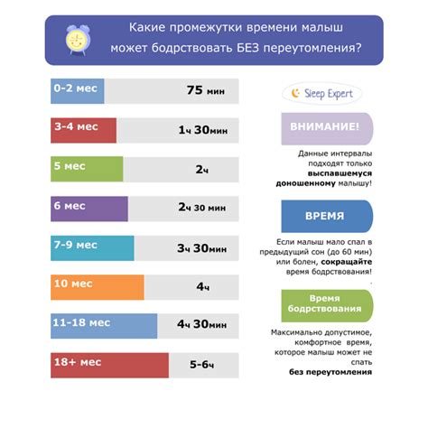 Установление режима сна и бодрствования у канарейки