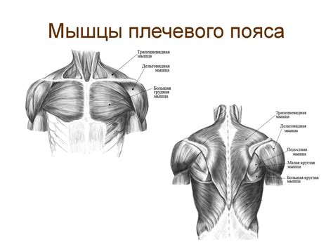 Устраняем проблемы с лагами