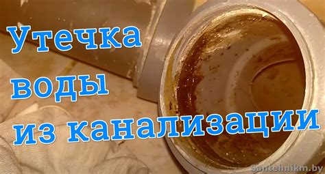 Утечка воды из подвала: причины и последствия