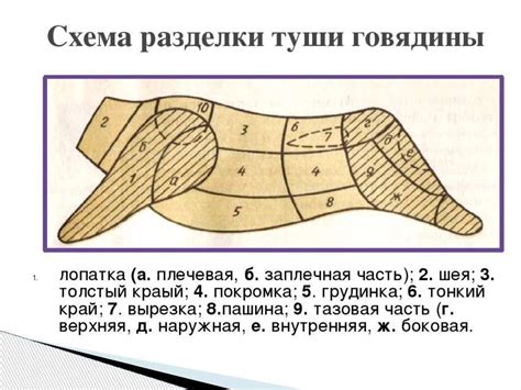 Уход за добычей: разделка и приготовление