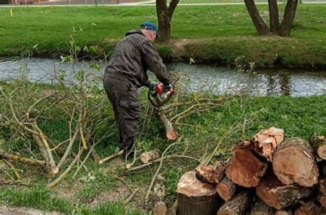 Уход за зелеными насаждениями