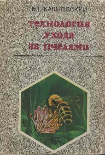 Уход за пчелами на участке: важные моменты