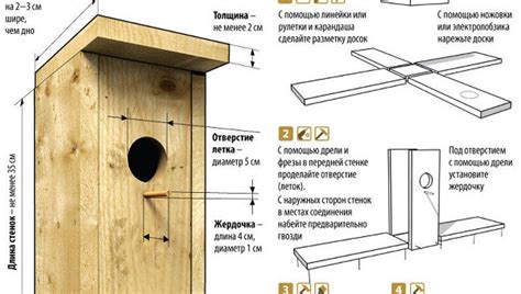 Уход за скворечником и привлечение птиц