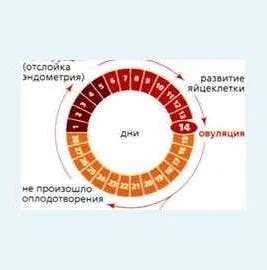 Ухудшение регулярности месячных циклов