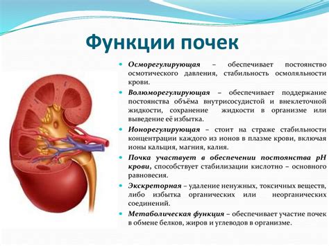 Ухудшение функции почек и мочеполовой системы