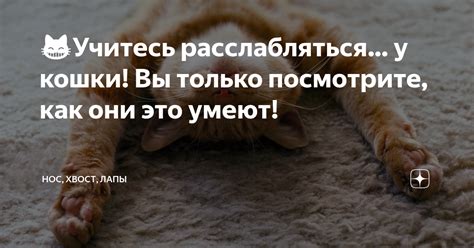 Учитесь расслабляться