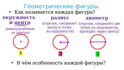 Учтите вашу особенность фигуры