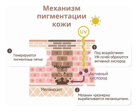 Учтите особенности пигментации кожи