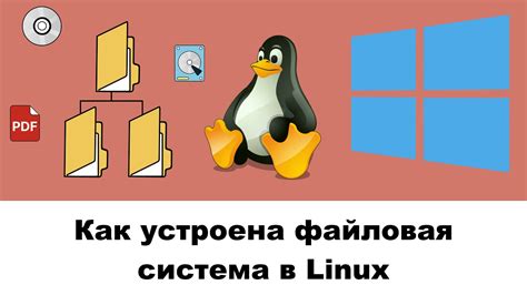 Файловая система в Linux: особенности и полезные советы