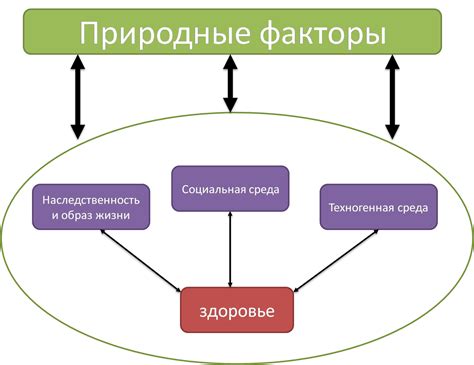 Факторы, влияющие на здоровье паравертебральных мягких тканей