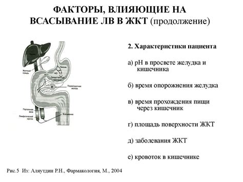 Факторы, влияющие на консистенцию стула