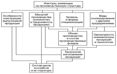 Факторы, влияющие на первичную структуру