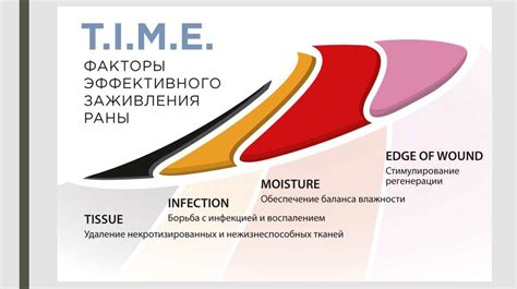 Факторы, влияющие на процесс заживления ран